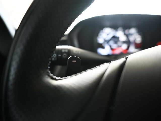 ALFA ROMEO 4C usata, con Volante in pelle
