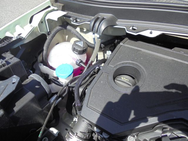 FIAT Grande Panda usata 41