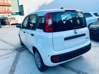 FIAT Pandina usata, con Airbag Passeggero