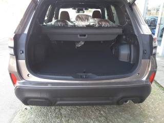 SUBARU Forester usata, con Interni in pelle