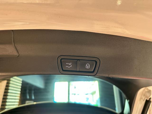 ALFA ROMEO Stelvio usata, con Fendinebbia