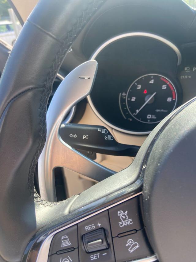 ALFA ROMEO Stelvio usata 38
