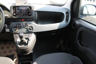 FIAT Panda usata, con Controllo trazione