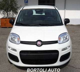 FIAT Panda usata 16