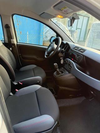 FIAT Panda usata 17