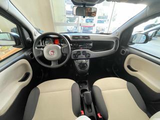 FIAT Panda usata, con Servosterzo