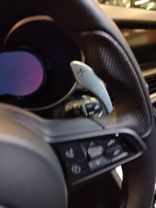 ALFA ROMEO Stelvio usata 40