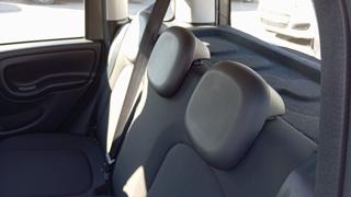FIAT Panda usata 23