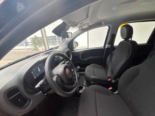FIAT Panda usata 27