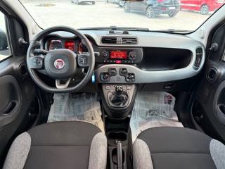 FIAT Panda usata 18