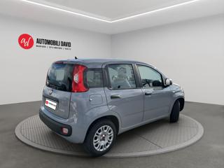 FIAT Panda usata, con Alzacristalli elettrici
