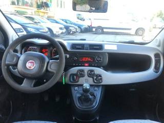 FIAT Panda usata 13