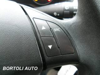 FIAT Punto usata, con Luci diurne