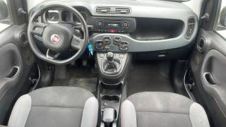 FIAT Panda usata, con Controllo trazione