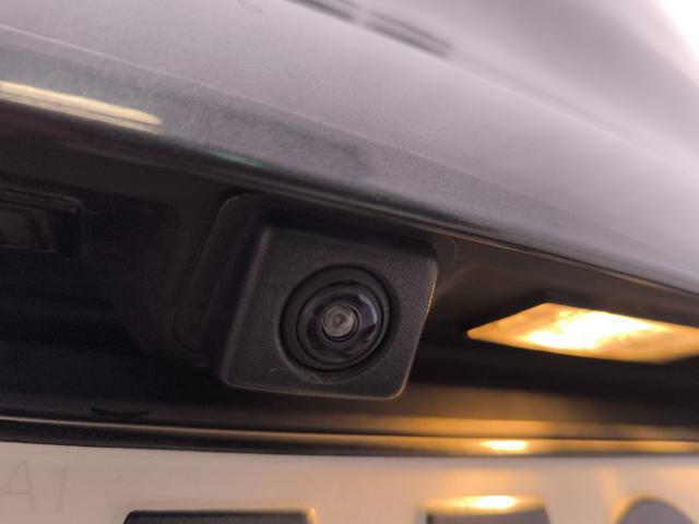 RENAULT Kadjar usata, con Luci diurne LED