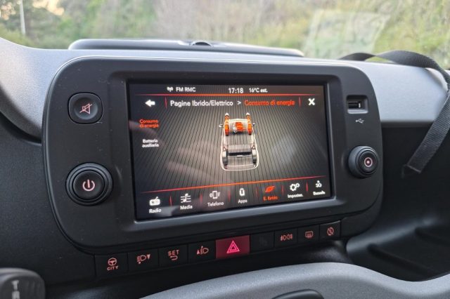 FIAT Panda Cross usata, con Fendinebbia
