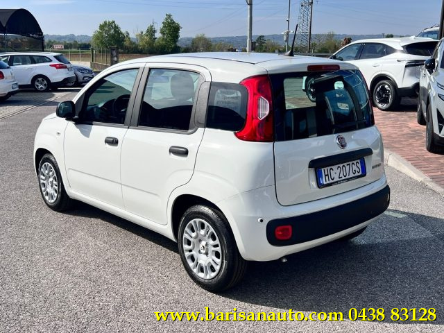 FIAT Panda usata, con Alzacristalli elettrici