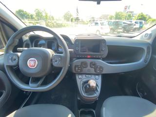 FIAT Panda usata 18
