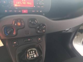 FIAT Panda usata 18