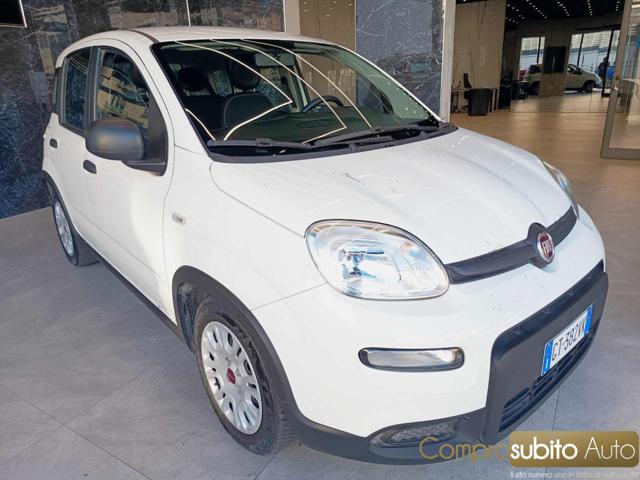 FIAT Panda usata, con Airbag Passeggero
