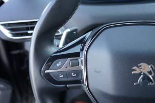 PEUGEOT 3008 usata 28