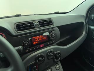 FIAT Panda usata, con Fendinebbia