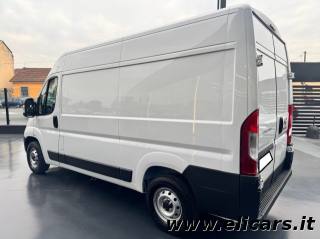FIAT Ducato usata, con Cruise Control