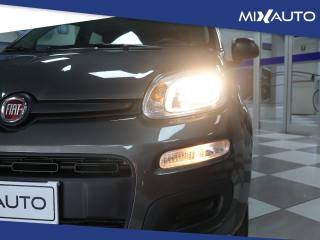 FIAT Panda usata, con Servosterzo
