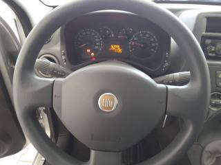 FIAT Panda usata, con Fendinebbia