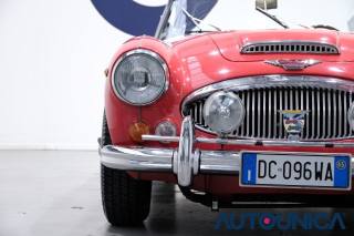 AUSTIN Healey usata 33
