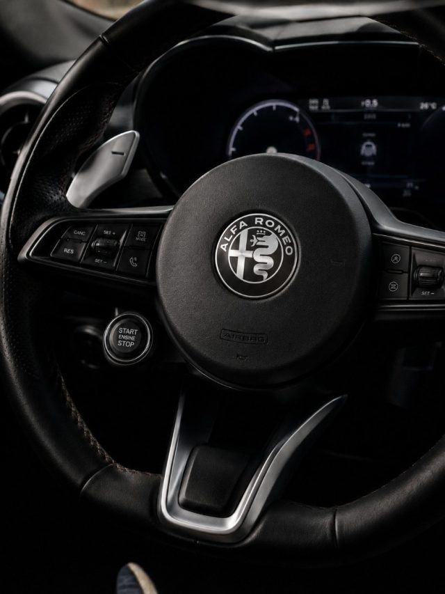 ALFA ROMEO Tonale usata, con Climatizzatore