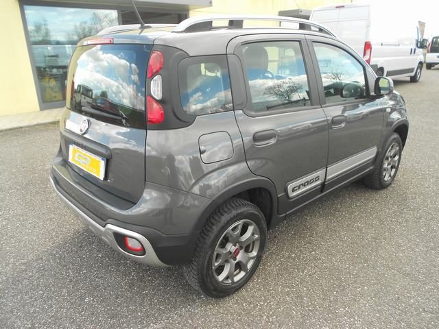 FIAT Panda Cross usata, con Alzacristalli elettrici