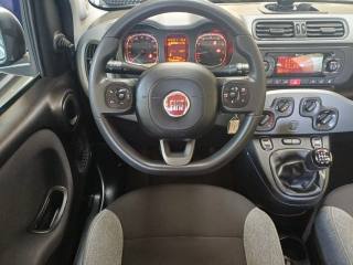 FIAT Panda usata, con Vivavoce