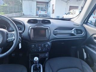 JEEP Renegade usata, con Airbag testa