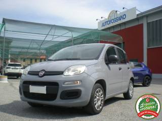 FIAT Panda 1.2 Easy - PRONTA CONSEGNA