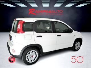 FIAT Panda usata 6