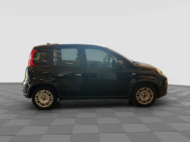 FIAT Panda usata 6