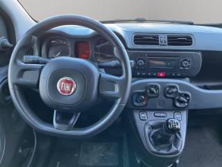 FIAT Panda usata, con Servosterzo