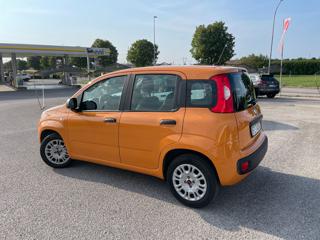 FIAT Panda usata, con Airbag Passeggero