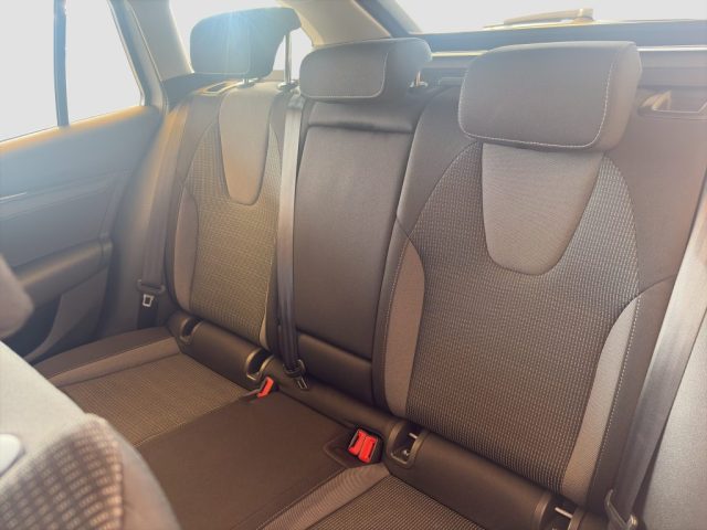 SKODA Octavia usata 9