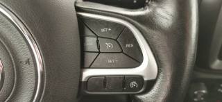 JEEP Renegade usata 42