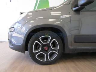 FIAT Panda usata, con Airbag Passeggero