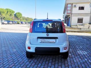 FIAT Panda usata, con Antifurto