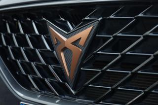 CUPRA Formentor usata 75