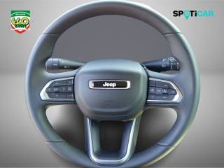 JEEP Renegade usata, con Cruise Control