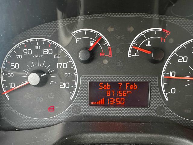 FIAT Qubo usata 16