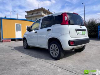 FIAT Panda usata 20