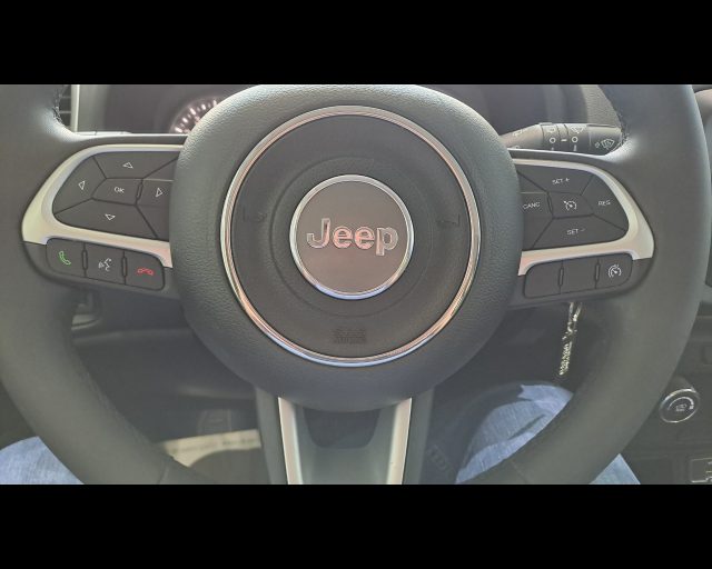 JEEP Renegade usata, con Volante in pelle