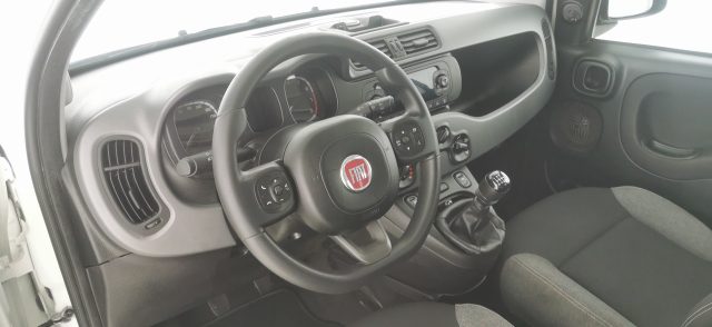 FIAT Panda usata 39