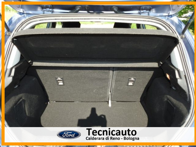FORD Fiesta usata, con Fendinebbia
